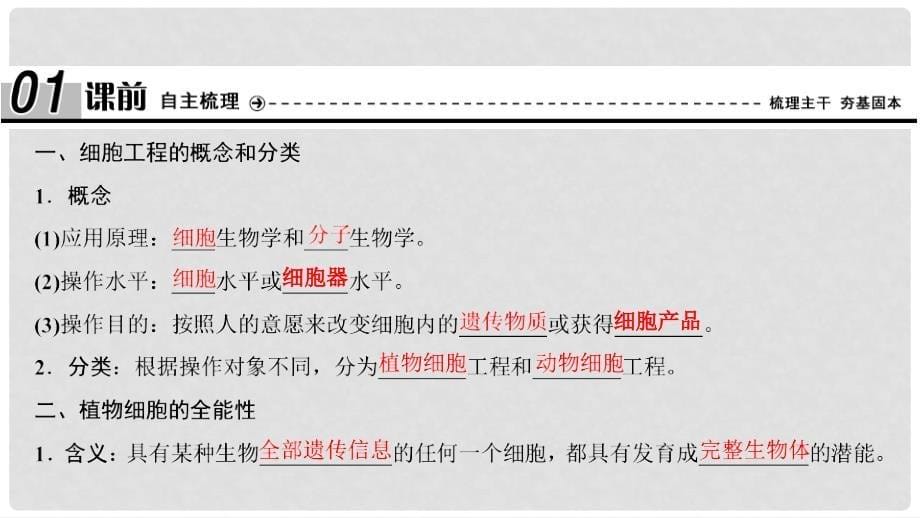 高中生物 专题2 细胞工程 2.1.1 植物细胞工程的基本技术课件 新人教版选修3_第5页