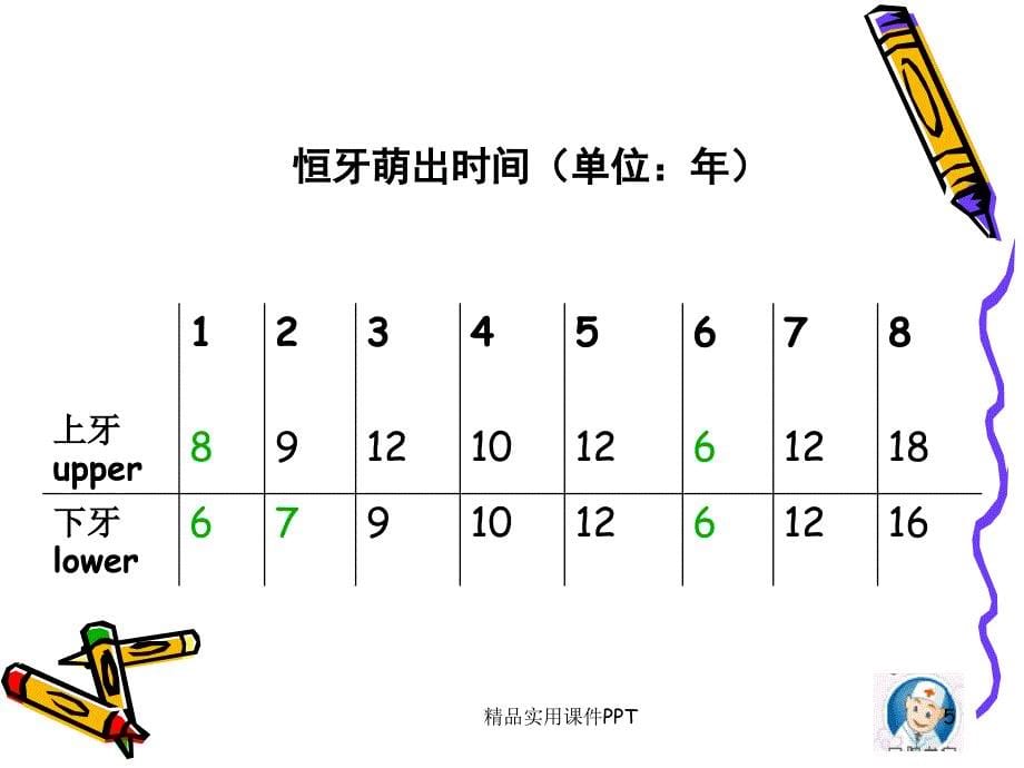 认识牙齿ppt课件_第5页