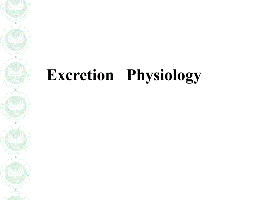 《动科动物生理学》教学课件：Excretion physiology 第七章排泄_第1页