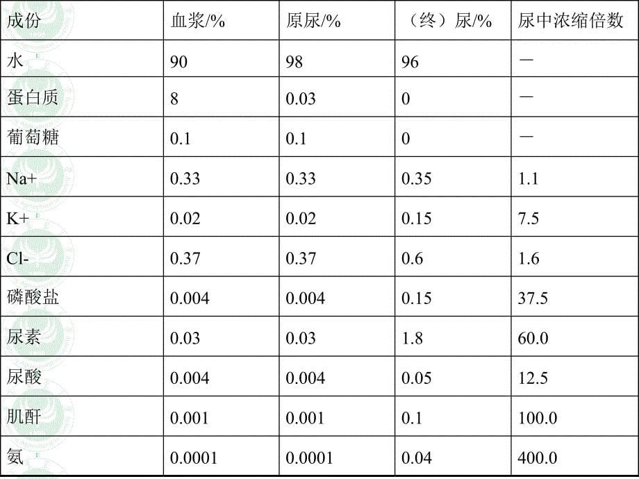 《动科动物生理学》教学课件：Excretion physiology 第七章排泄_第5页