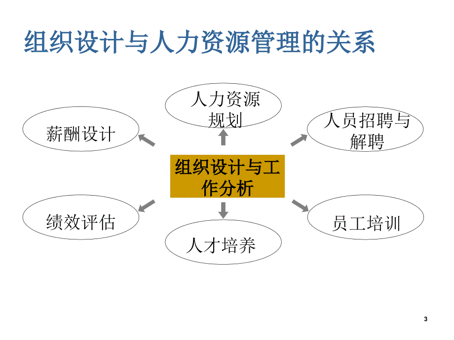 组织设计与工作分析-第1章概论(给学生).ppt_第3页