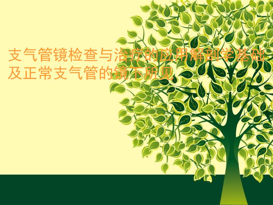 支气管镜检查与治疗的应用解剖学基础及正常支气管的镜下所见_第1页