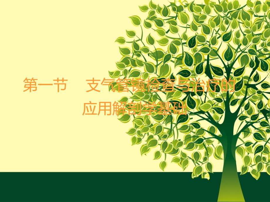 支气管镜检查与治疗的应用解剖学基础及正常支气管的镜下所见_第2页