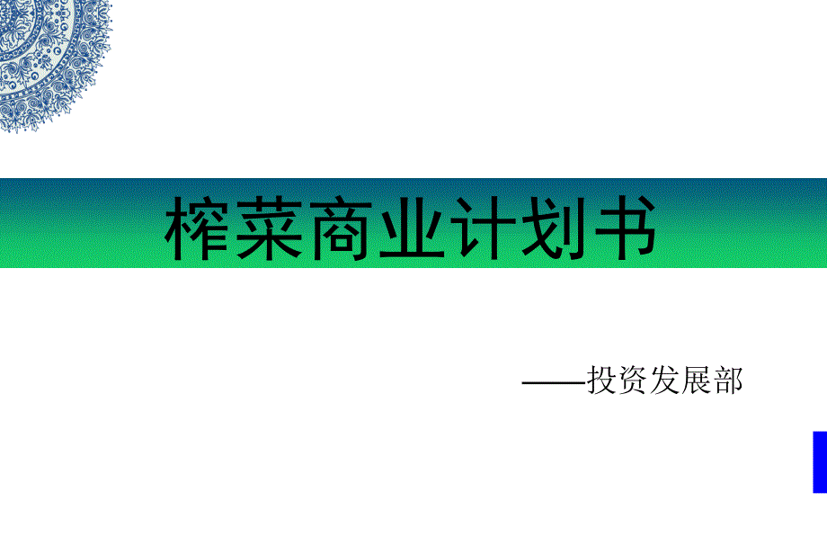 榨菜商业计划书课件_第1页