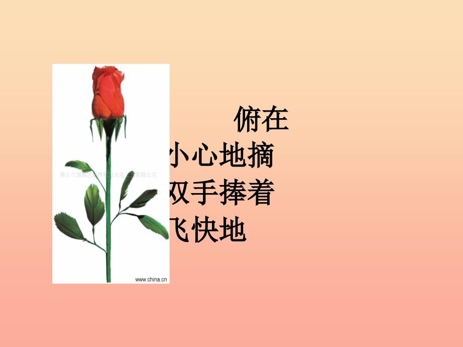 三年级语文下册 第二单元 6花瓣飘香课件3 苏教版.ppt_第3页