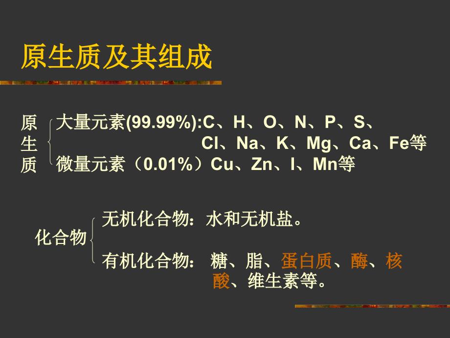 《蛋白质与核酸》PPT课件_第2页