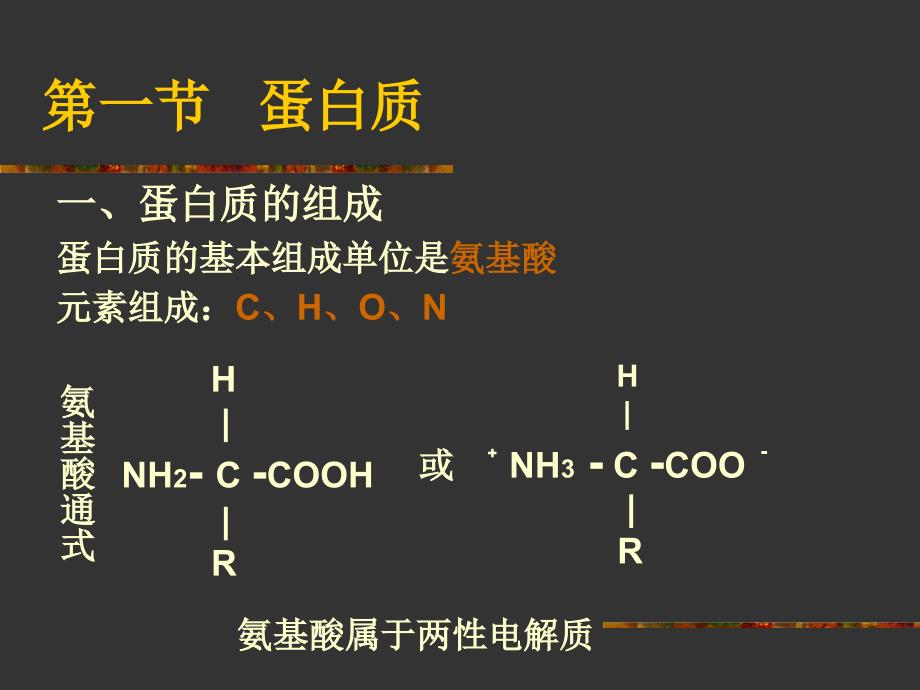 《蛋白质与核酸》PPT课件_第3页