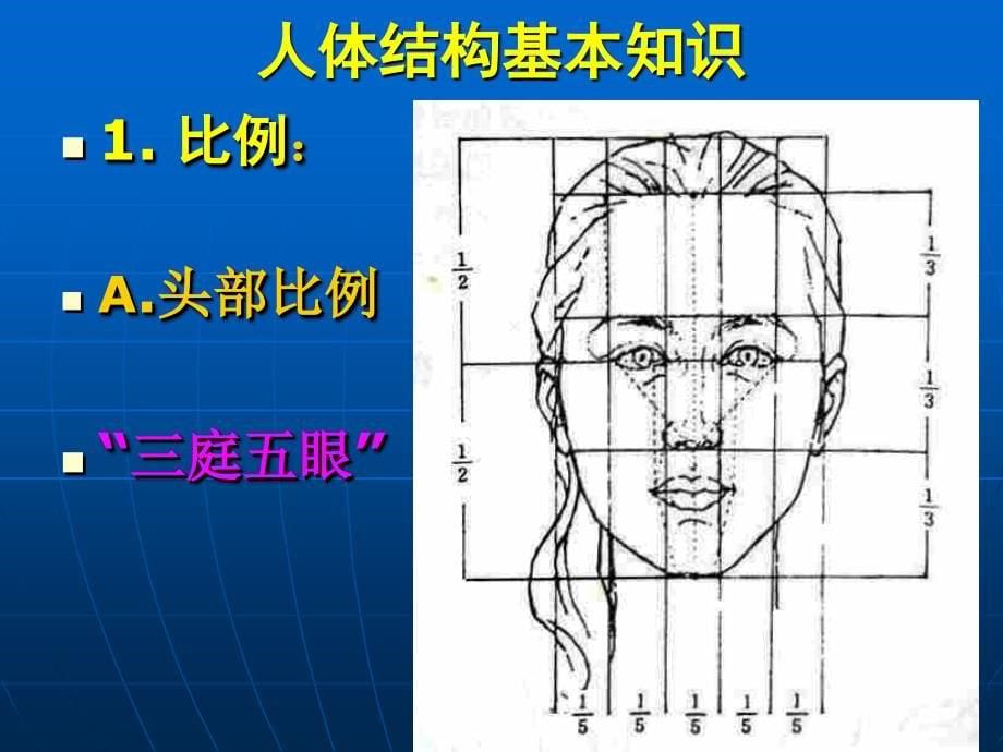 人物速写ppt课件_第5页