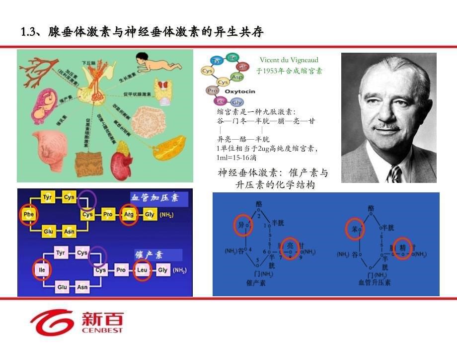 缩宫素及生育健康-课件_第5页