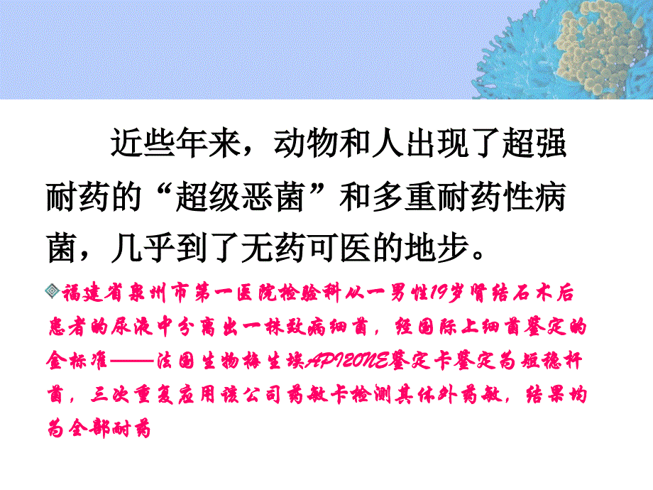 细菌的耐药性课件_第4页