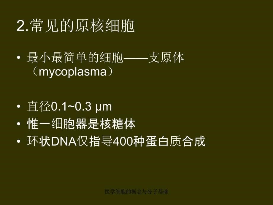 医学细胞的概念与分子基础课件_第5页