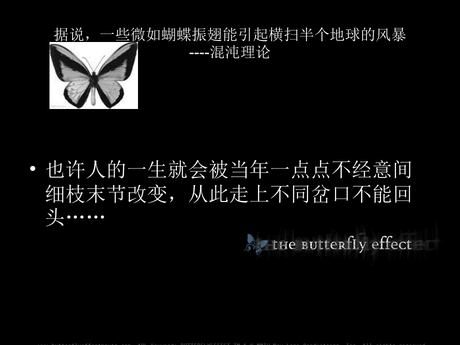 蝴蝶效应电影简介_第3页