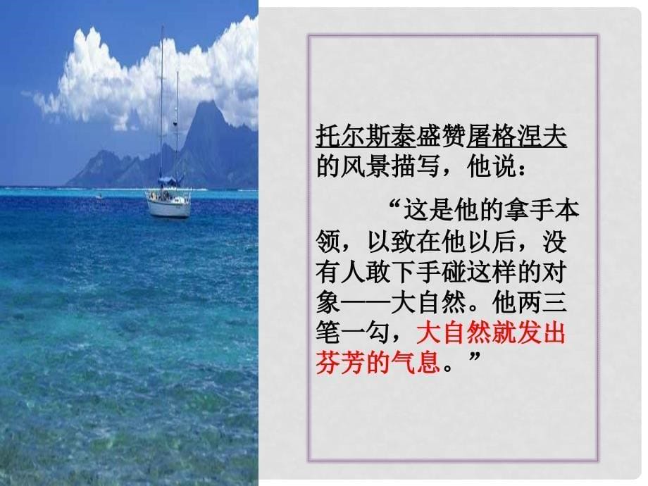 七年级语文《蔚蓝的王国》课件 苏教版_第5页