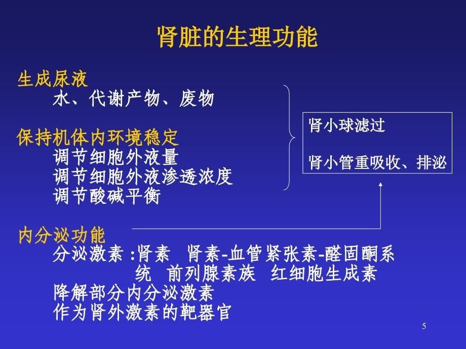 肾病常用实验室检查ppt课件_第5页