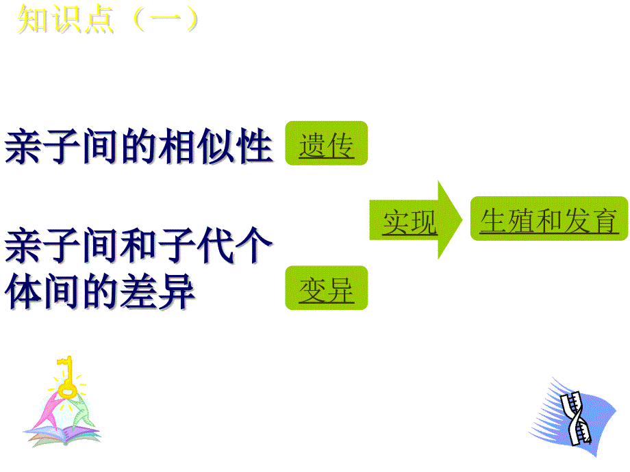 基因控制生物的性状新.PPT_第4页