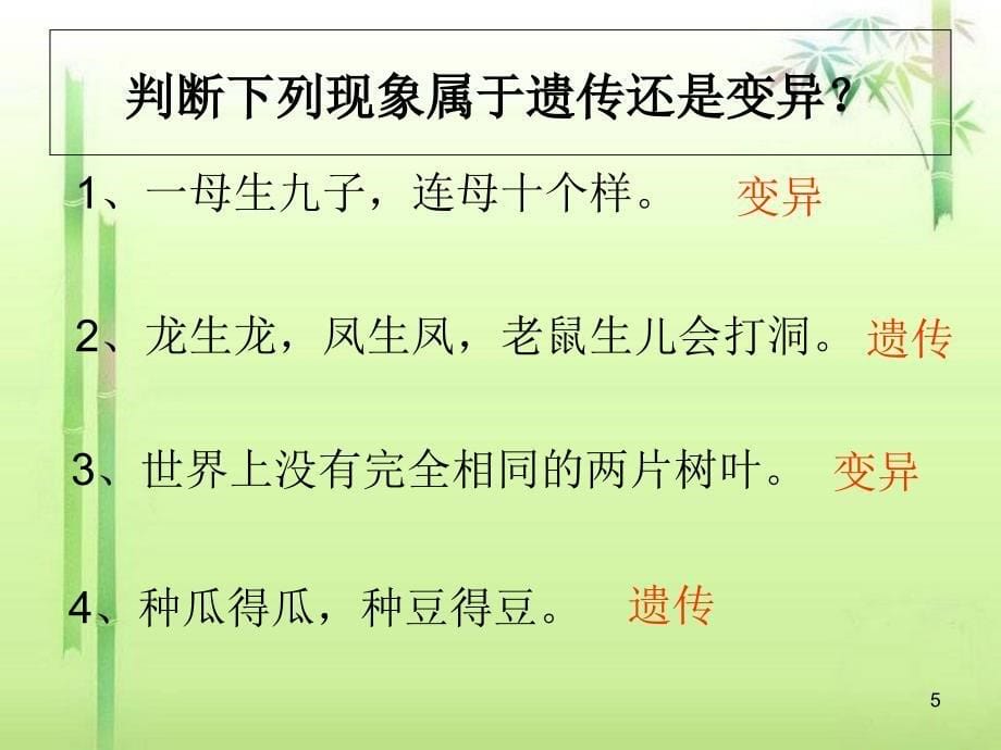 基因控制生物的性状新.PPT_第5页