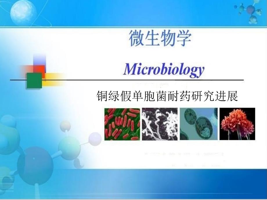 铜绿假单胞菌的耐药_第1页