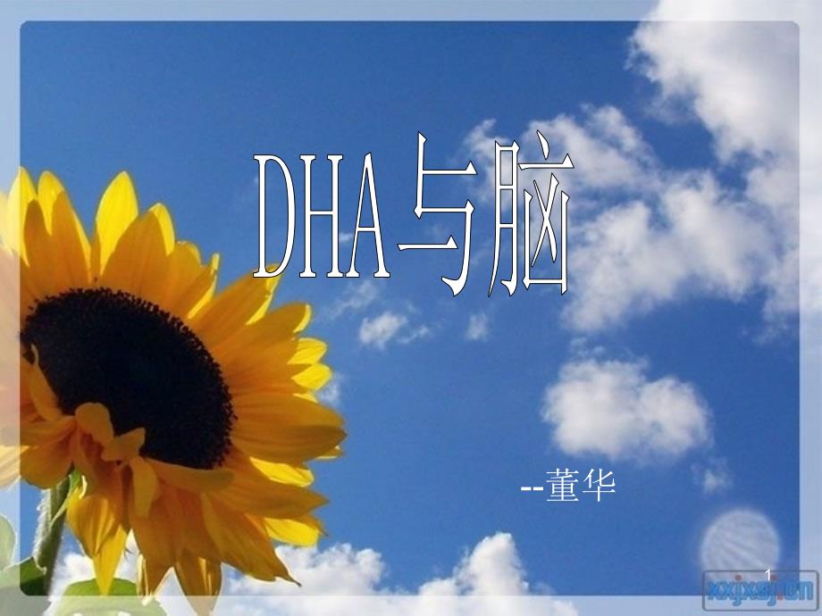 《DHA与脑发育》PPT课件.ppt_第1页