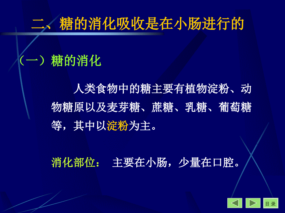 生物化学教学课件：第9章 糖代谢_第4页