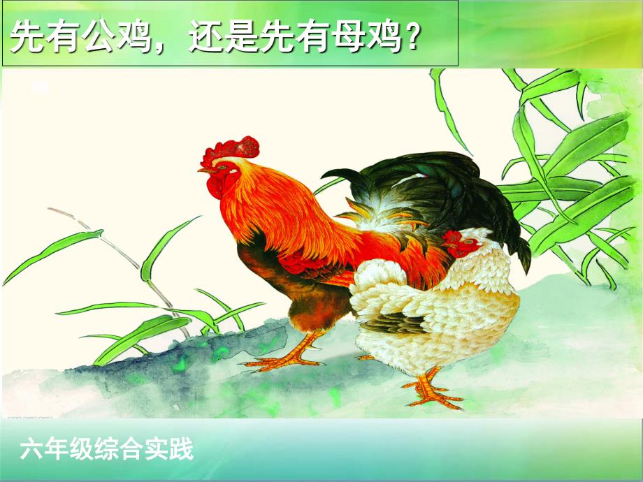 小学综合实践活动课件-先有公鸡还是先有母鸡1_第1页