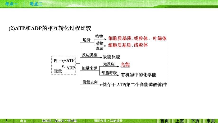 第7讲ATP与酶_第5页
