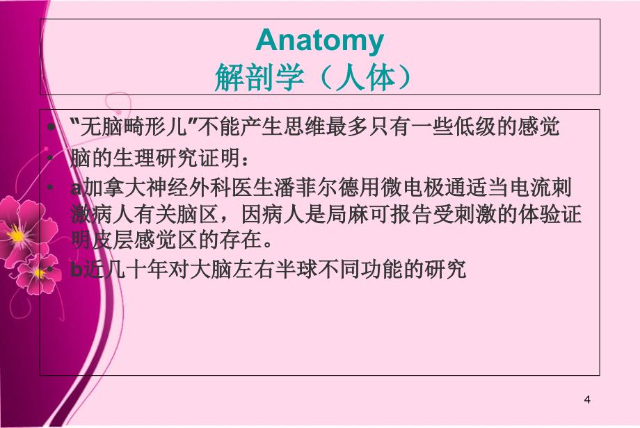 心理学概论第三章心理活动的生理基础_第4页