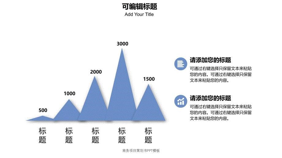 商务项目策划书PPT模板_第5页