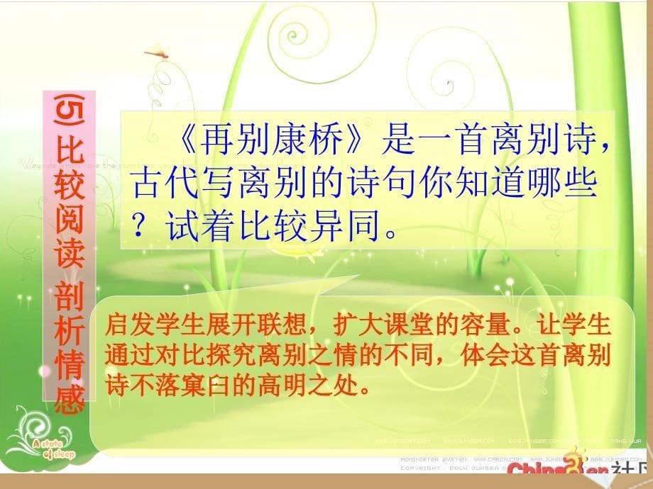 《现代诗之再别康桥》课件苏教版.ppt_第5页