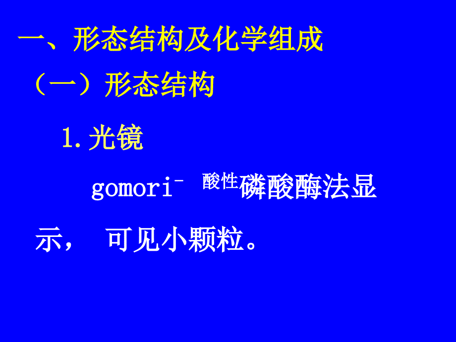 细胞生物学：03-3溶酶体_第4页