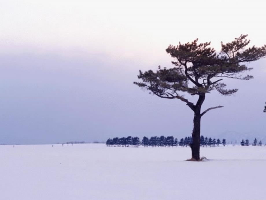 鲁迅雪课件36页_第4页