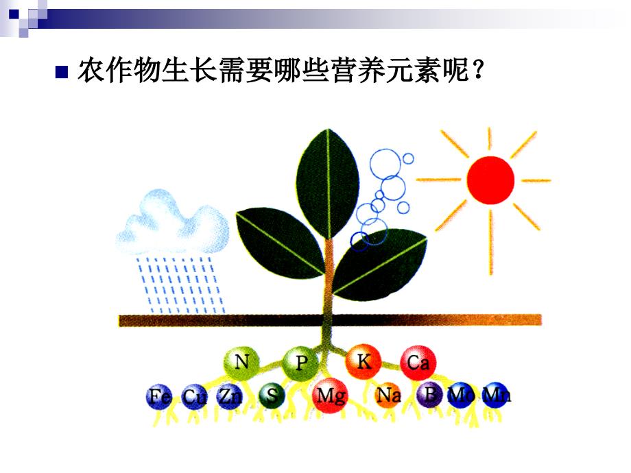 _课题2_化学肥料_第3页