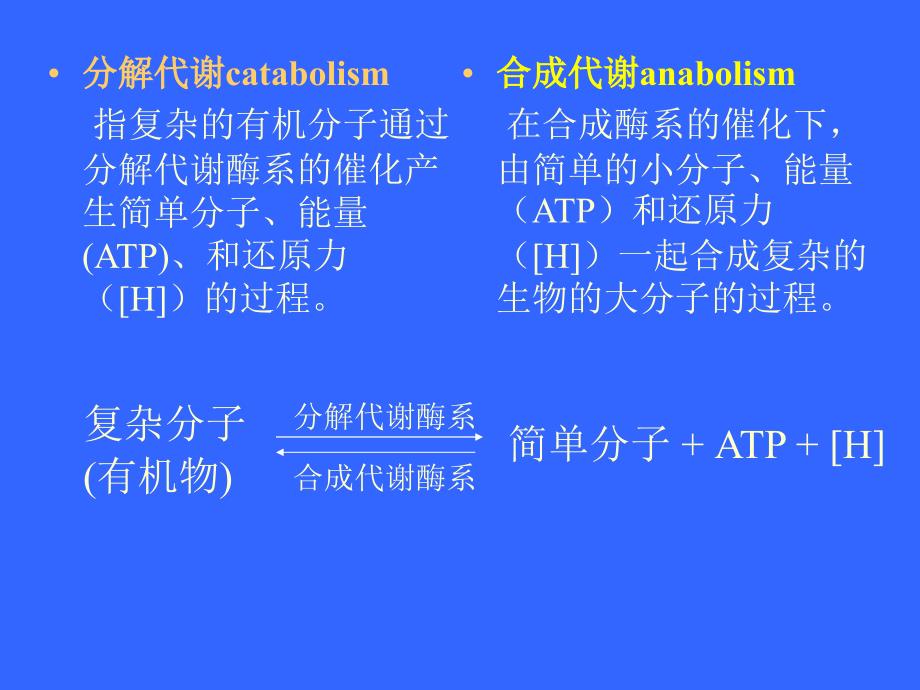 江南大学微生物综合_第2页