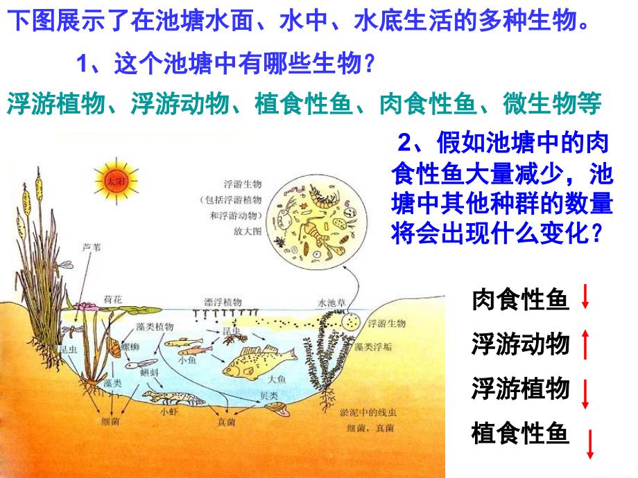 43群落的结构2_第3页