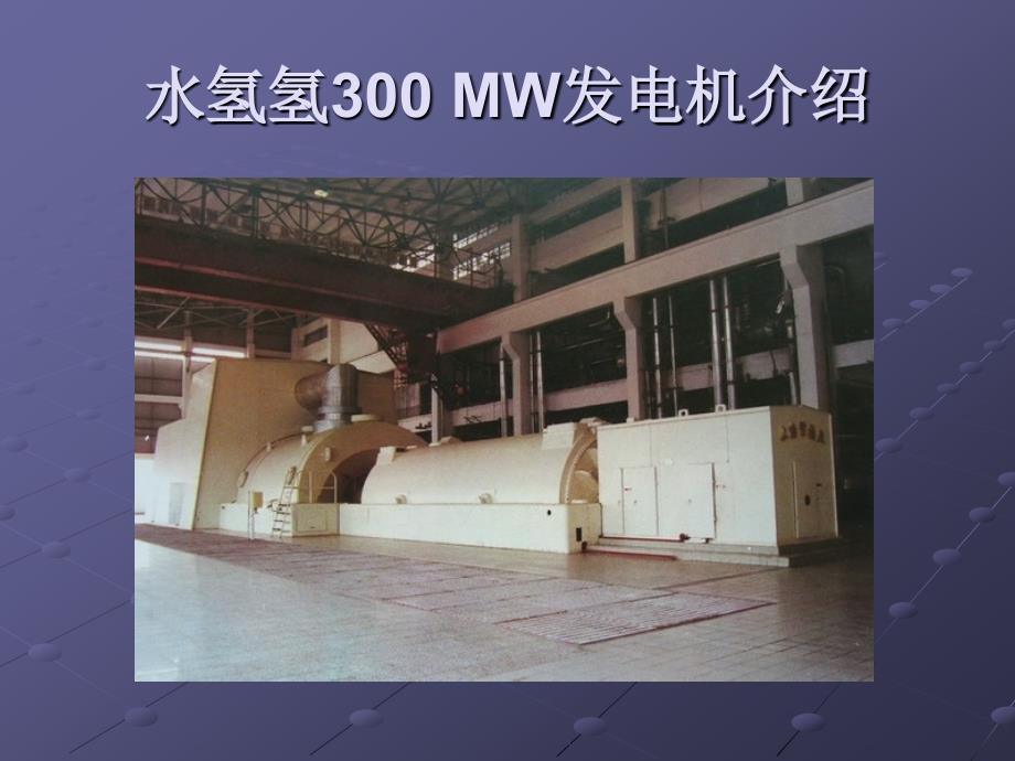 水氢氢300MW发电机介绍_第1页