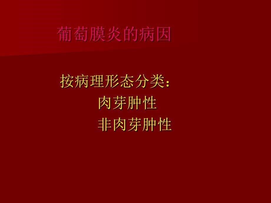 最新：葡萄膜疾病文档资料_第5页