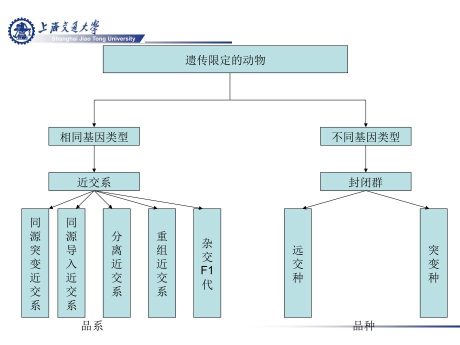 实验动物遗传质量控制_第4页