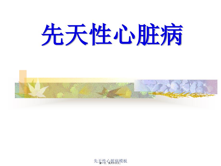 先天性心脏病模板课件_第1页