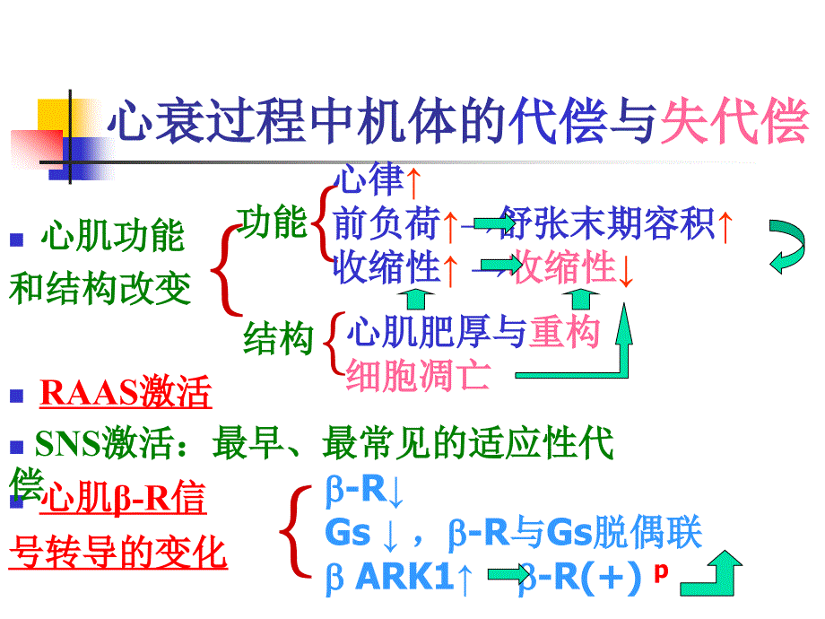 药理学治疗充血性心力衰竭的药物.ppt_第4页