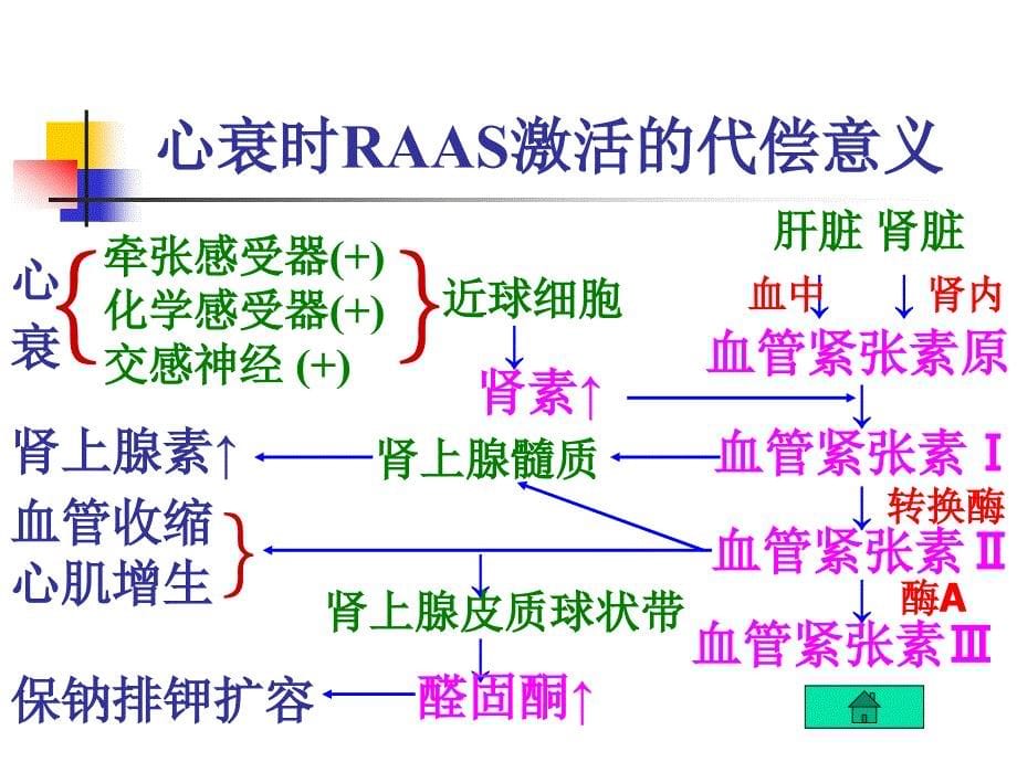 药理学治疗充血性心力衰竭的药物.ppt_第5页