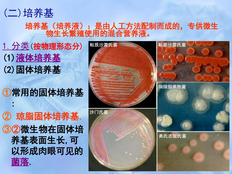 专题1微生物的实验室培养与应用_第4页