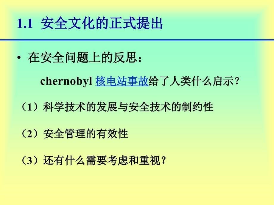 最新企业安全文化建设导则_第5页