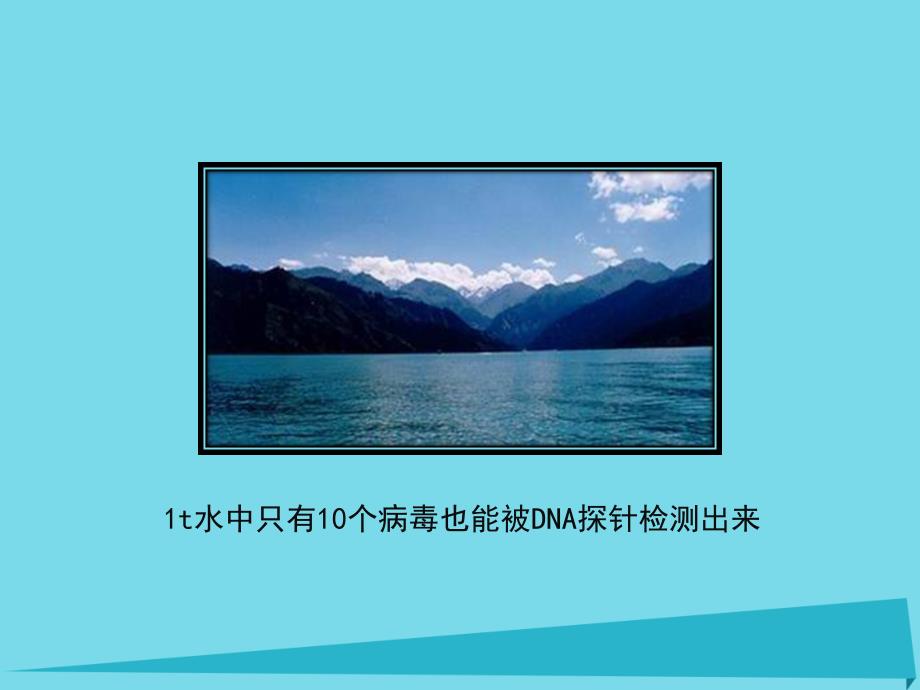 生物 第一章 基因工程 1.3 蛋白质工程 苏教版选修3_第3页