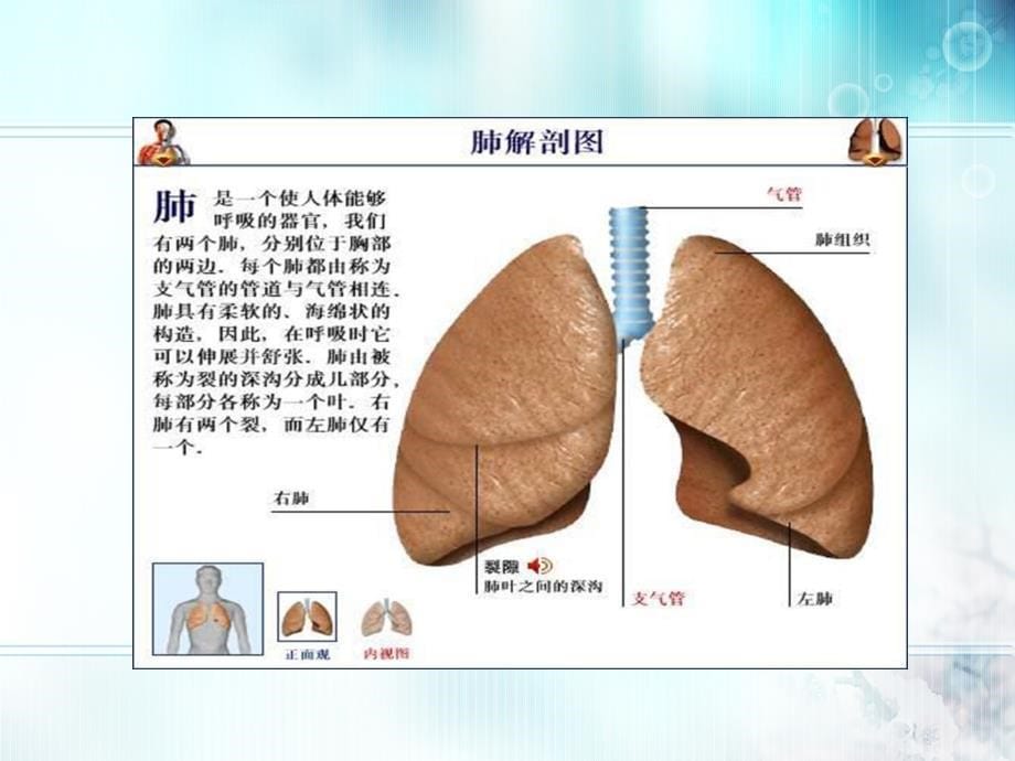 胸部物理疗法(胸外科)_第5页