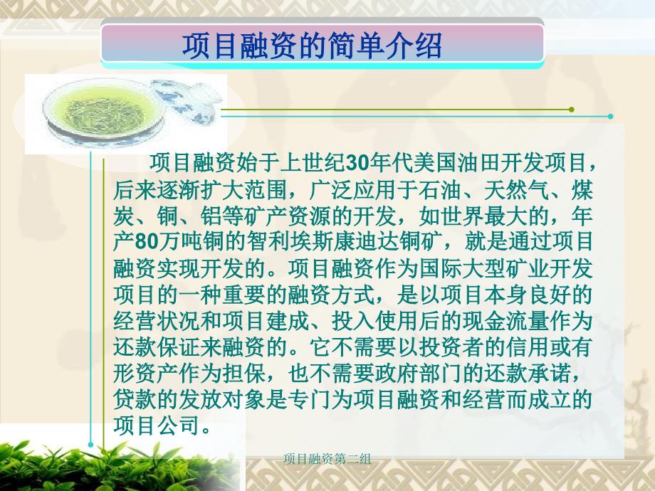 项目融资第二组课件_第4页