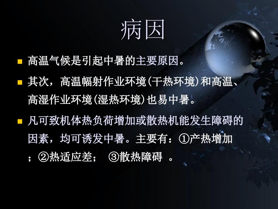 《中暑教学》PPT课件.ppt_第3页