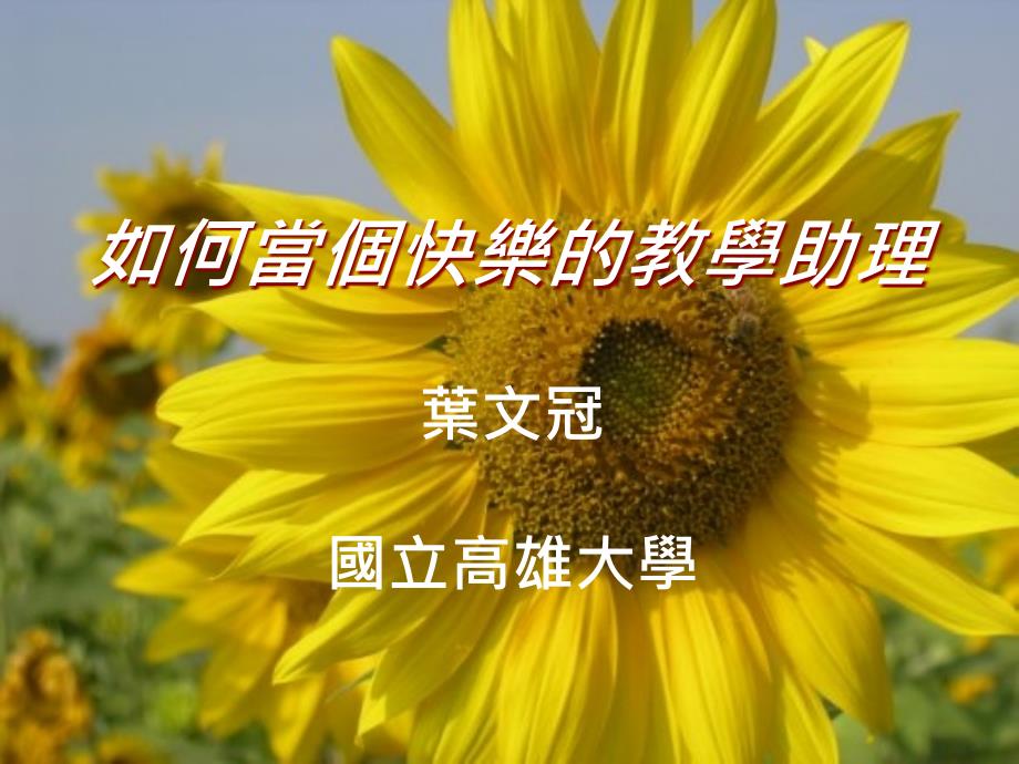 如何当个快乐的教学助理_第1页