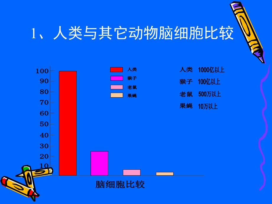 了解认识大脑研究适于脑的教学_第3页