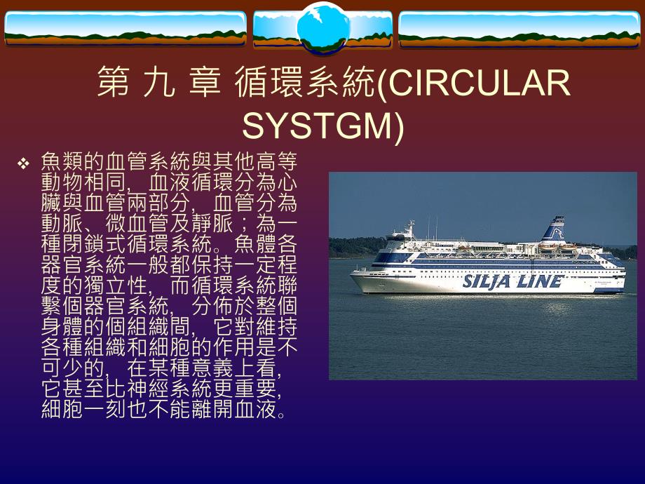 九章循环系统CIRCULARSYSTGMP_第1页