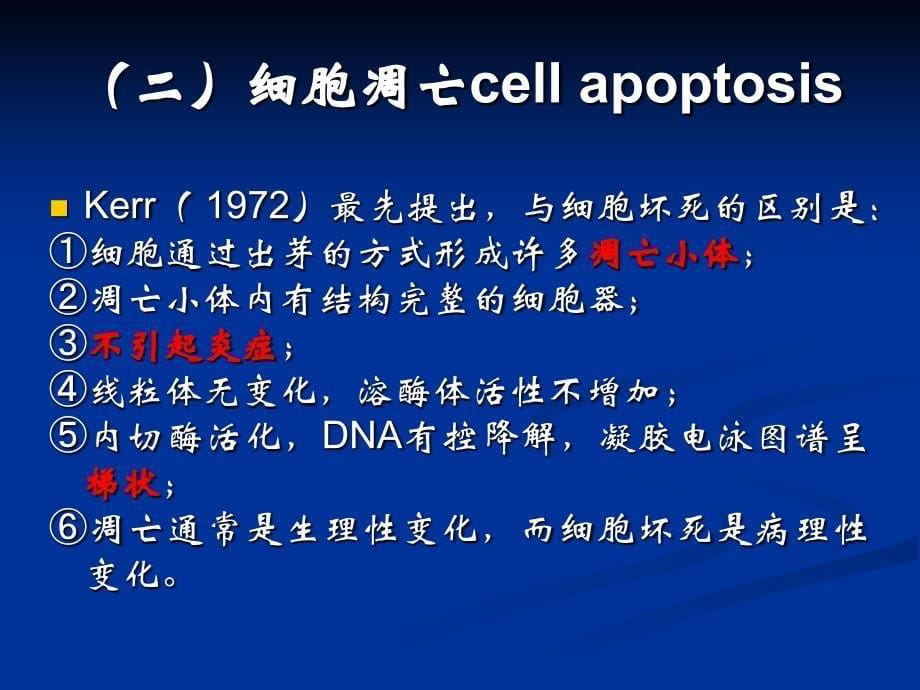 13程序性细胞死亡与细胞衰老_第5页