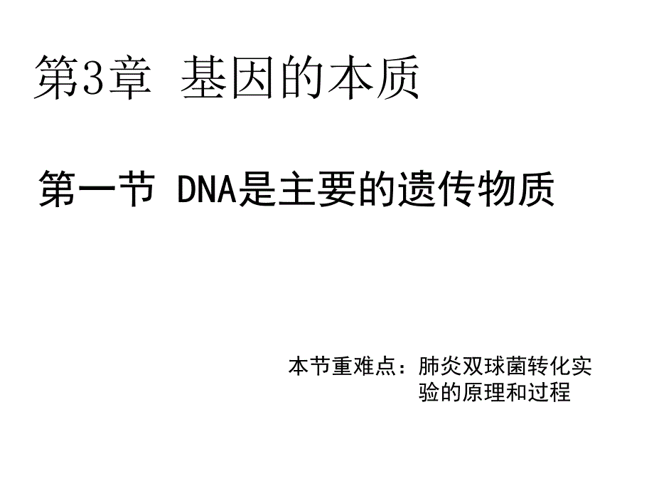 必修二DNA是主要的遗传物质1课时1_第2页